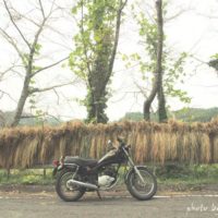 稲束とバイクのある風景