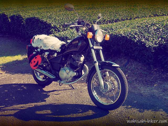 ハロウィンの装飾が施された黒いバイク(YAMAHA SR125)が、茶畑の前に停車している。シートには蜘蛛の巣風の白い飾りが被せられ、車体側面にはガイコツやカボチャの飾りがつけられている。エキパイが写る前方からのアングル。
