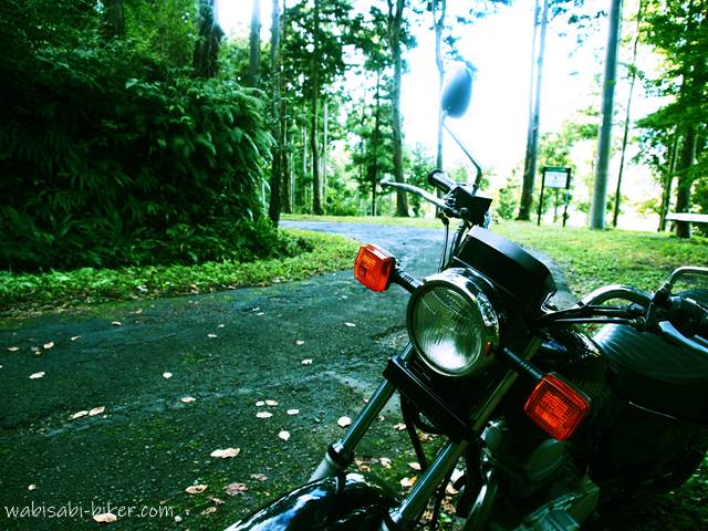 森のカーブとオートバイ