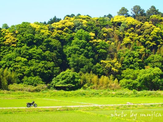 田んぼと山とバイクのある風景