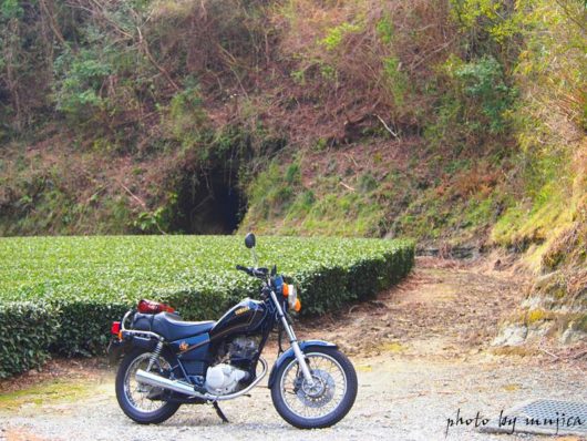 茶畑の洞穴とオートバイ