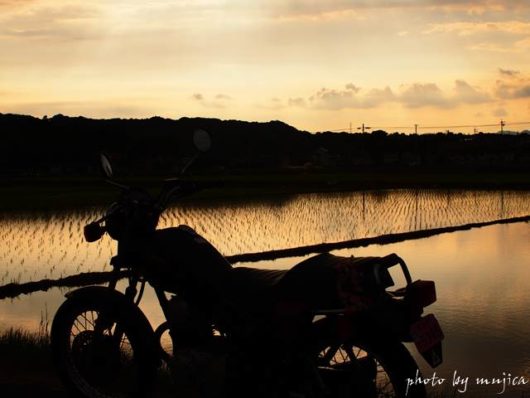 水田とバイクのある風景