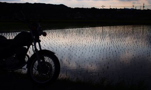 早苗田とバイクのある風景