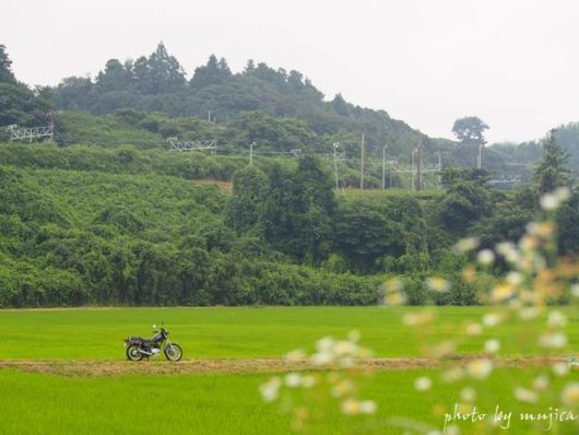 野花咲く田園とバイクのある風景