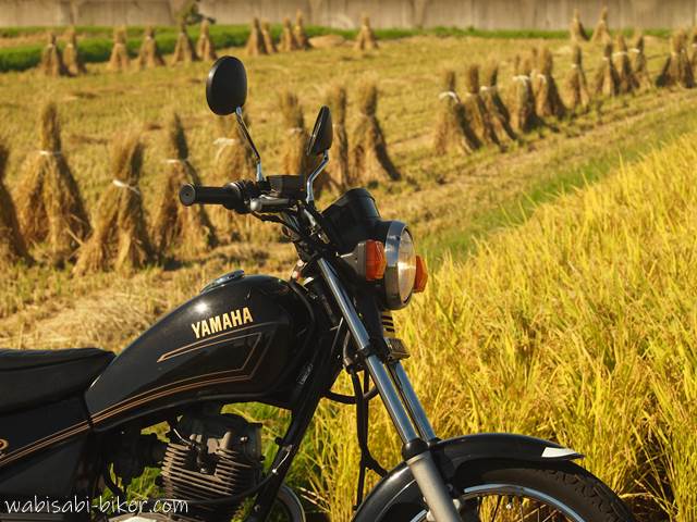 バイクと稲束 YAMAHA SR125