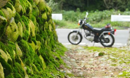 苔とバイクのある風景