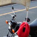 【つるし猿(さるぼぼ)】お散歩ツーリングでのバイク写真撮影