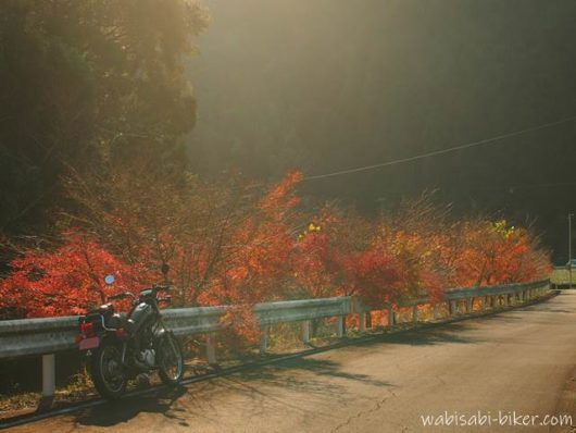 オートバイと冬紅葉