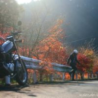 オートバイと冬紅葉で自撮り