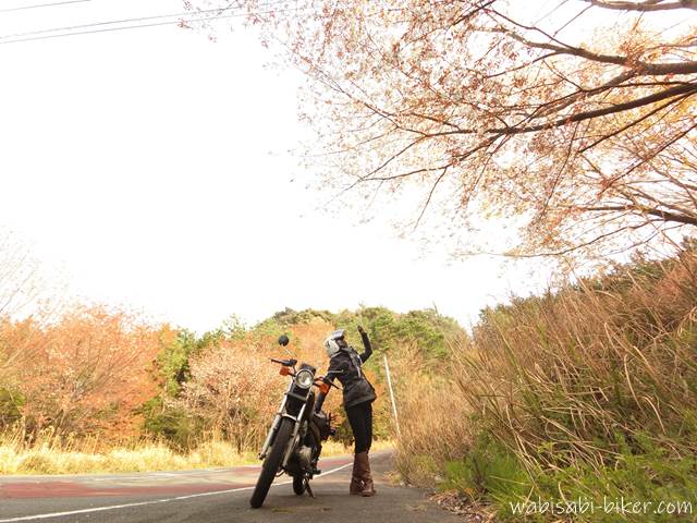 山桜とバイク乗り