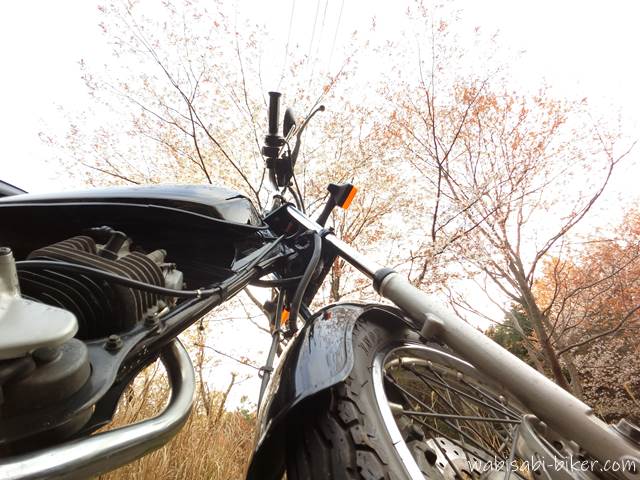 オートバイと山桜