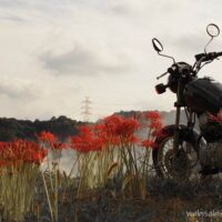 バイクと彼岸花のある風景
