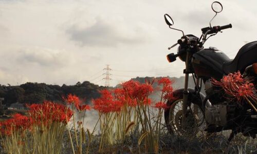 バイクと彼岸花のある風景