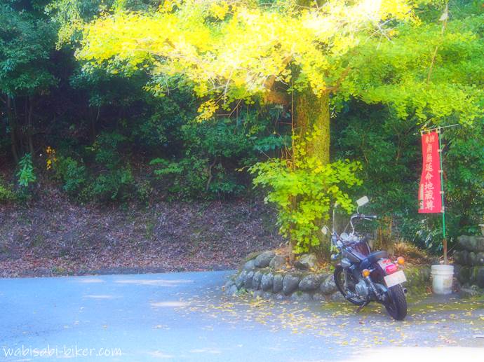 イチョウの黄葉とオートバイ