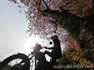 桜とバイクと自撮り