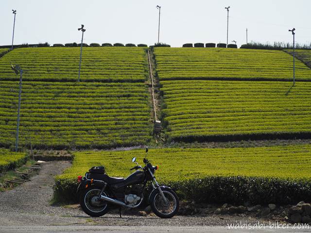 モノラックのある茶畑とバイク