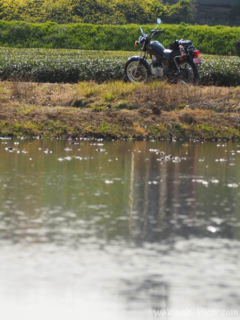 水の張った田んぼとバイク