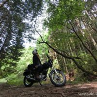 林道に停車するオートバイと女性ライダー
