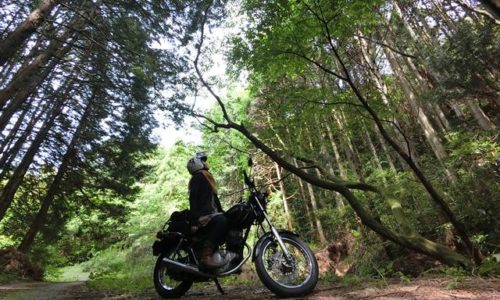 林道に停車するオートバイと女性ライダー