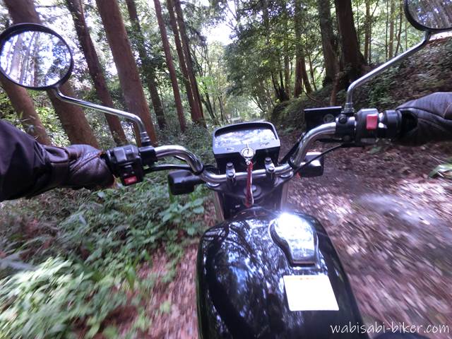 林道を走るオートバイ