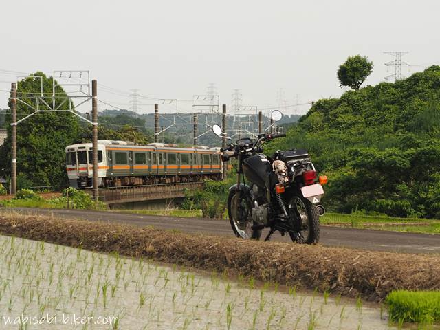 オートバイと電車と水田
