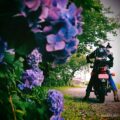 紫陽花とバイク写真撮影☆初心者がゼロから挑んだ10年記録