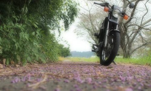 落花したクズの花びらとオートバイ