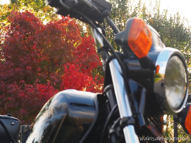 紅葉とオートバイ