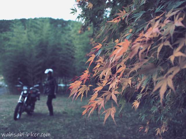 紅葉と他撮り風バイク写真