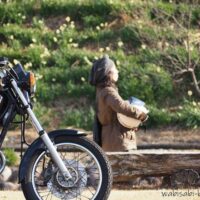 バイクと水仙と女性ライダー