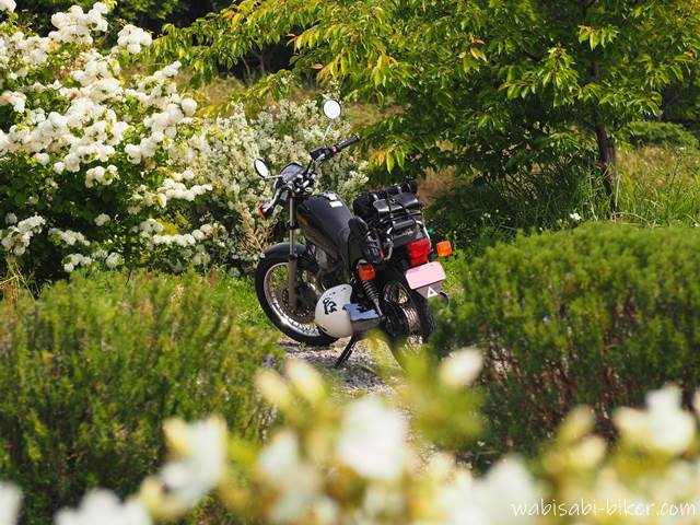 白いお花とオートバイ