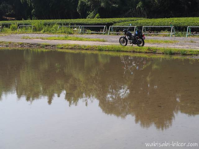 茶畑のある水辺とオートバイ