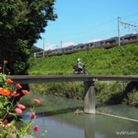 橋の上の女性ライダーと電車と花