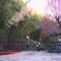 「梅と橋」バイク風景写真+セルフポートレート撮影