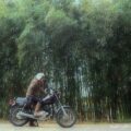【竹・梅と松】バイク写真撮影