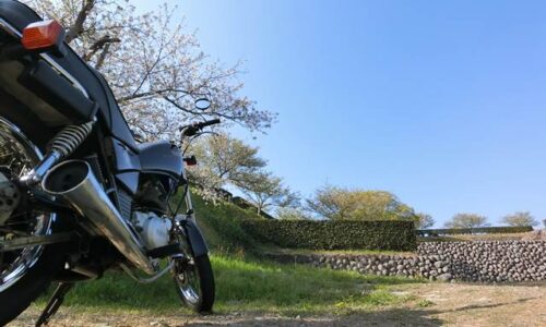 横須賀城跡の桜とオートバイ