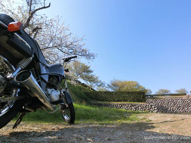 横須賀城跡の桜とオートバイ