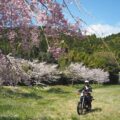 桜とバイクと自分の写真を撮りたい！