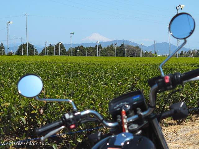 茶畑と富士山とオートバイ