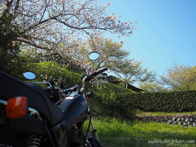 横須賀城跡の桜とバイク