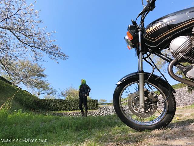 横須賀城跡 桜とバイク乗り