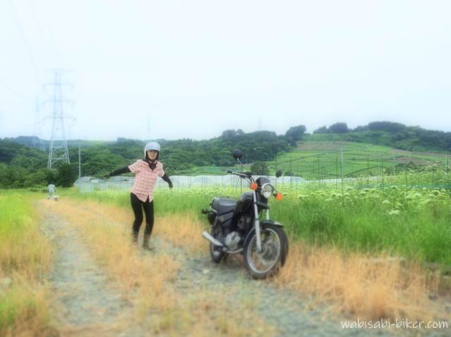 バイクポートレート 人参の花と茶畑