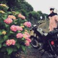 紫陽花とバイク写真☆オリンパスのミラーレスカメラによる自撮り