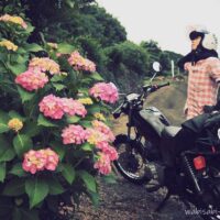 紫陽花と女性バイク乗り 自撮り写真