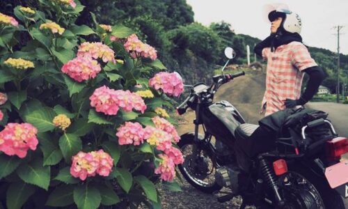 紫陽花と女性バイク乗り 自撮り写真