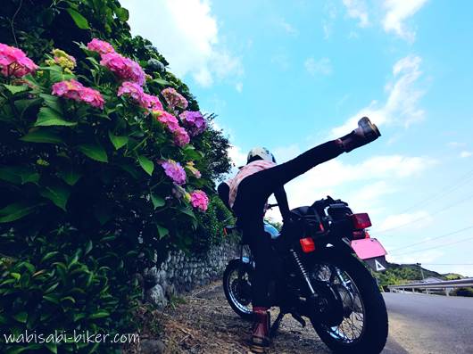バイクポートレート 紫陽花