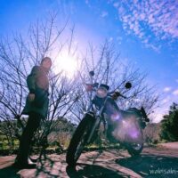 バイクポートレート 青空と梅の木