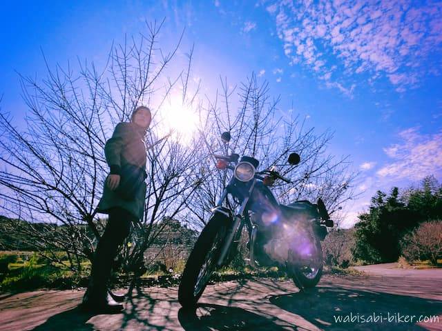 バイクポートレート 青空と梅の木
