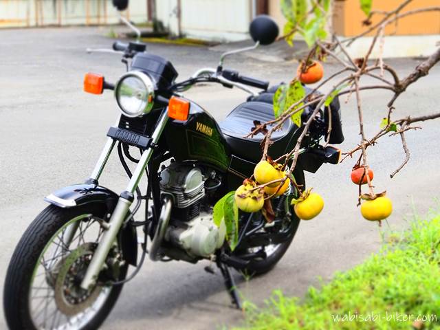 柿の実とオートバイ