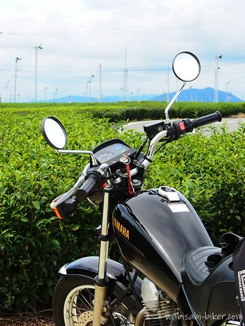 秋の茶畑とオートバイ